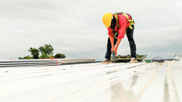 Best Rubber Roofing (EPDM, TPO)  in Willow, AK